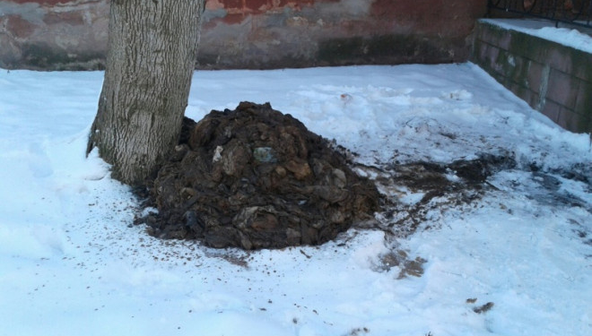 Яке жахіття: що творять самі тернополяни у місті, в якому живуть