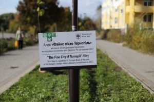 Вандали поломали десять катальп на найдовшій катальповій алеї в Україні