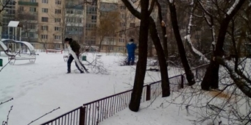 Як у Тернополі заради мешканців деякі дерева підрізають