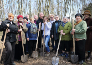 У парку Нацвідродження з’явились нові дерева (фото)