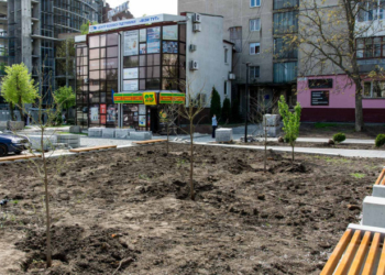 Майже у центрі Тернополя додатково висадили майже три десятки дерев