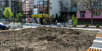 Майже у центрі Тернополя додатково висадили майже три десятки дерев