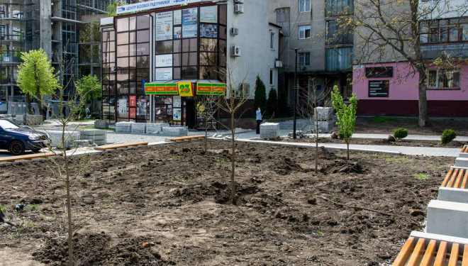Майже у центрі Тернополя додатково висадили майже три десятки дерев
