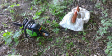 На”гарячому” у глушині затримали браконьєра