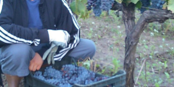 Придивіться уважно: тернопільські поліцейські опублікували фото імовірного злочинця