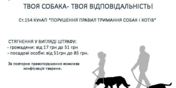 Тернополян, які неправильно будуть вигулювати собак, чекає арешт
