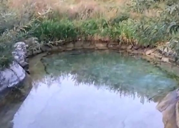 У Тернополі є місце дуже схоже на Таїланд (фото, відео)