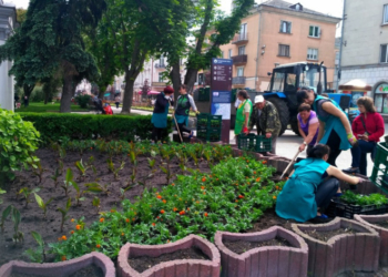 У Тернополі цвістимуть красиві клумби