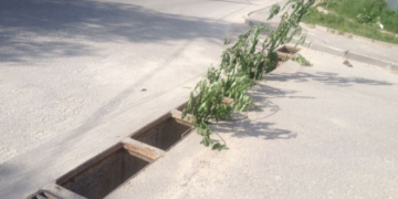 Тернополян просять згуртуватися проти дураків, які наражають вас на небезпеку