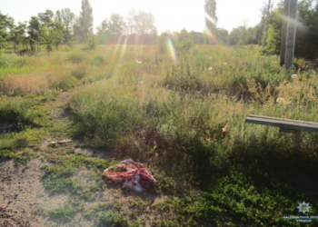 На Київщині чоловік жорстоко вбив свою жінку