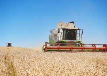 В Агрохолдингу «Мрія» стартувала збиральна кампанія