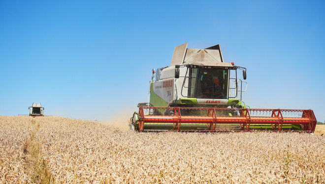 В Агрохолдингу «Мрія» стартувала збиральна кампанія