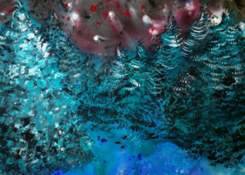 Тернополянам покажуть красу природи в абстракціях