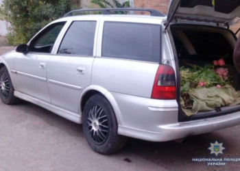 У Києві спіймали чоловіка, якому загрожує покарання за 309 статтею Кримінального кодексу