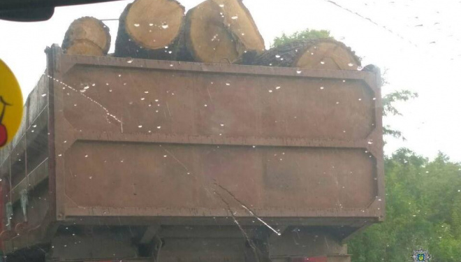 У Тернополі виявили автомобіль з незаконною деревиною