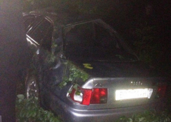 На Тернопільщині пасажир викрав автомобіль та потрапив у ДТП (фото)