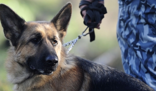 Тернопільська спортсменка стала чемпіонкою Європи з легкої атлетики
