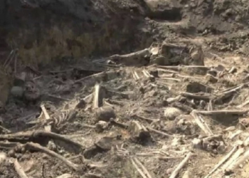 На Тернопільщині знайшли братську могилу бійців УНР