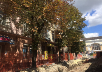 На одній тернопільській вулиці з’являться нові дерева