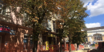 На одній тернопільській вулиці з’являться нові дерева