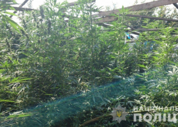 На Тернопільщині спіймали наркоділків