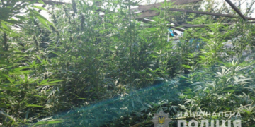 На Тернопільщині спіймали наркоділків