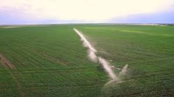 Яка причина масового отруєння людей на Тернопільщині