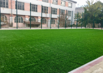 Понад три десятки соціально-відповідальних підприємців Тернополя отримали відзнаки від міської ради