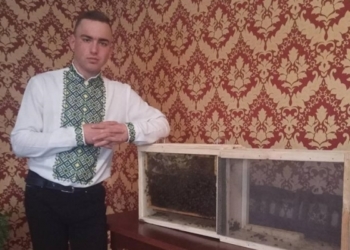 Тернопільський пасічник Богдан Лазута: «Бджоли в акваріумі – найкращий лік від застуди»