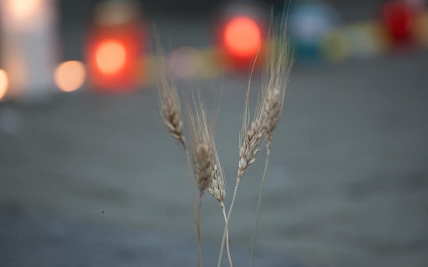 85-ті роковини голодомору: На Театральному майдані зібралися сотні тернополян (фото)