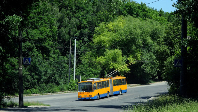 У Тернополі тролейбуси працюють у звичному режимі