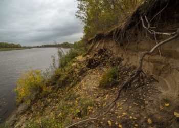 Знайшли в лісі мертвим і без руки: моторошні подробиці загибелі жителя Тернопільщини