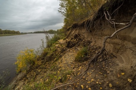 Знайшли в лісі мертвим і без руки: моторошні подробиці загибелі жителя Тернопільщини