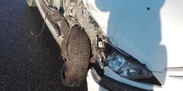 На трасі Львів–Тернопіль автомобіль Peugeot зіткнувся з  маршруткою (Фото)