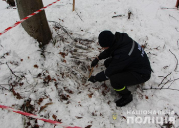 Снаряди та арсенал зброї виявили правоохоронці на Тернопільщині (Відео, фото)