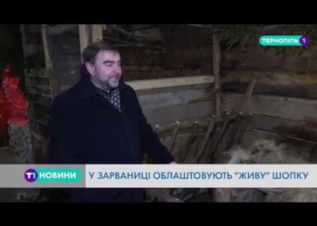 Побачити “живу” шопку можна на Тернопільщині (Відео)