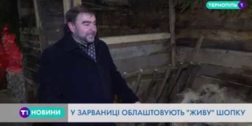 Побачити “живу” шопку можна на Тернопільщині (Відео)