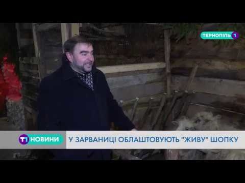 Побачити “живу” шопку можна на Тернопільщині (Відео)