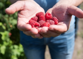 Які програми для аграріїв Тернопільщини будуть доступними у 2019 (фото)