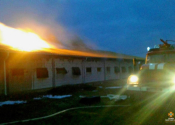 На Тернопільщині загорілося фермерське господарство (фото)