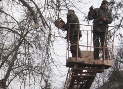 У тернопільських парках здійснюють санітарну обрізку дерев
