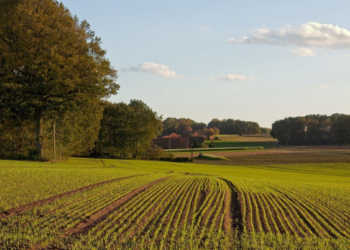 Цікава інформація з Тернополя для учасників АТО