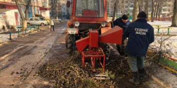 У Тернополі використовують європейські методи обрізки дерев