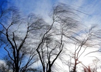 На Тернопільщині негода наробила біди