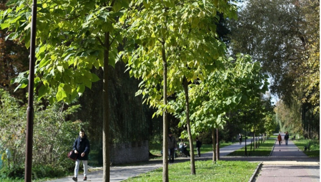 У Тернопільській міській раді розповіли про один із пріоритетних напрямків діяльності