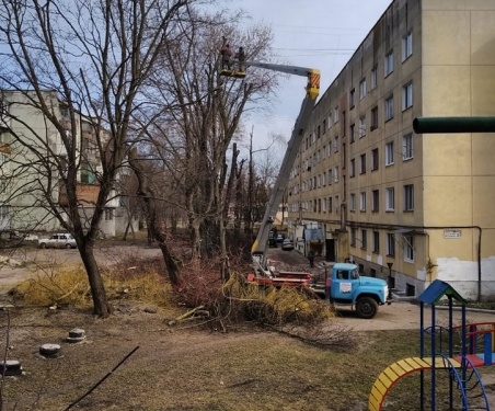 У Тернополі обрізають дерева