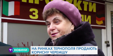 В Тернополі продають рослину із унікальними цілющими властивостями (Відео)