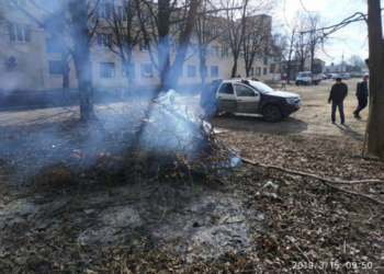 Штраф за спалювання листя та гілля становить від 170 до 1190 гривень