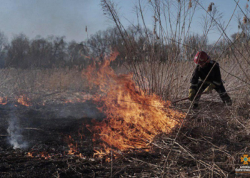 Масштабна пожежа біля Тернополя: ці люди не вартують жити у хорошій країні