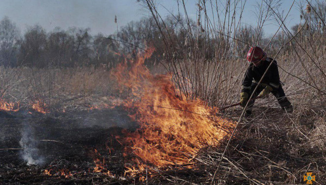 Масштабна пожежа біля Тернополя: ці люди не вартують жити у хорошій країні